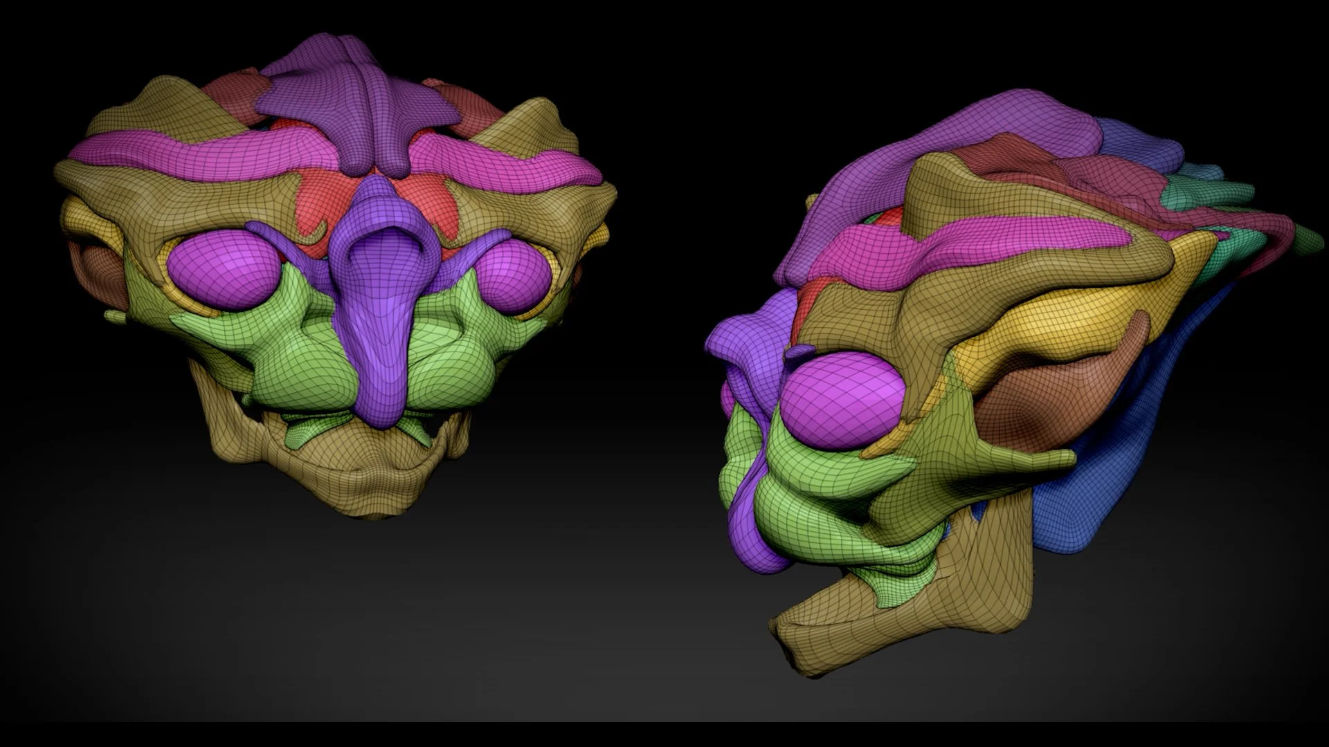 Step 1 - Creature Skull Project Overview Long.00_02_27_17.Still002.jpg