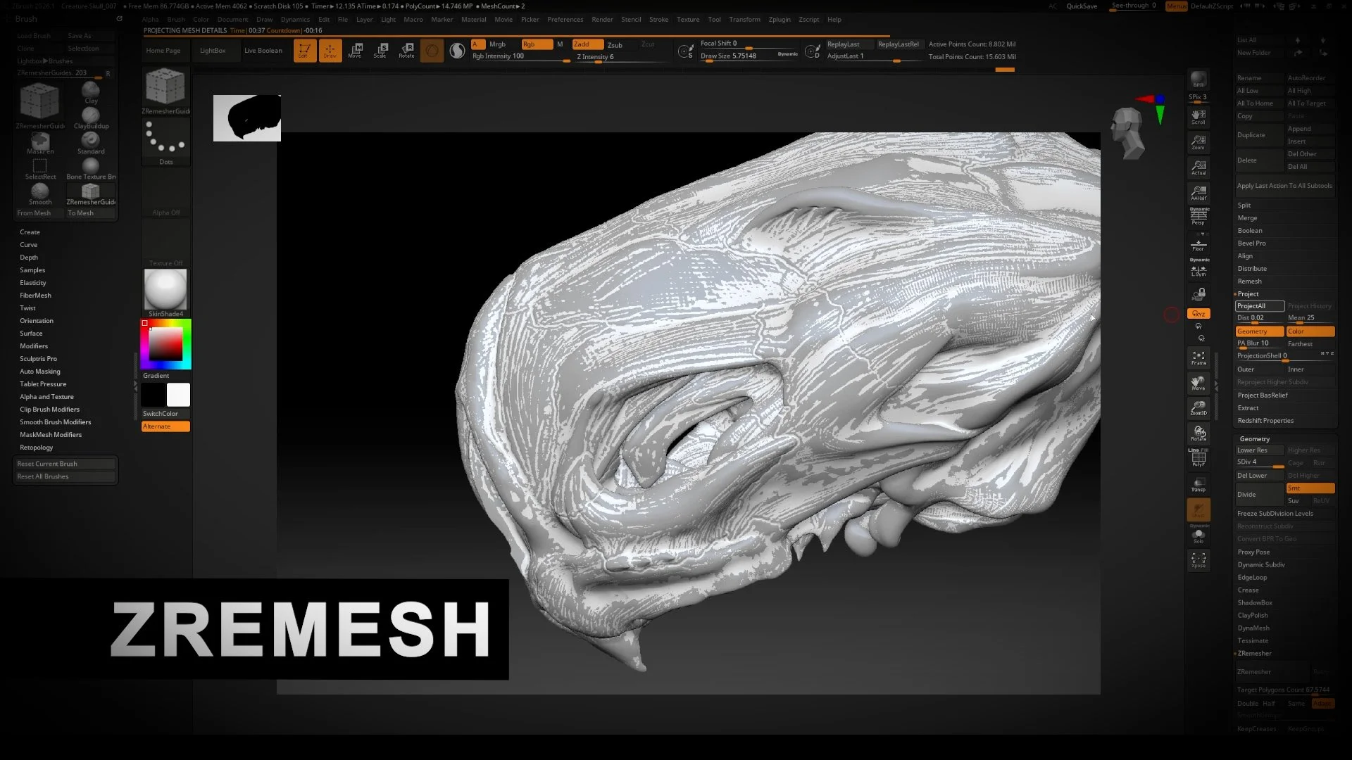 Step 8 - Creature Skull Project Overview Long.01_44_28_20.Still009.jpg