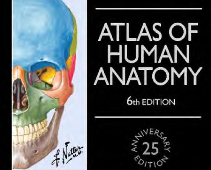 Screenshot 2026-03-04 121808.png