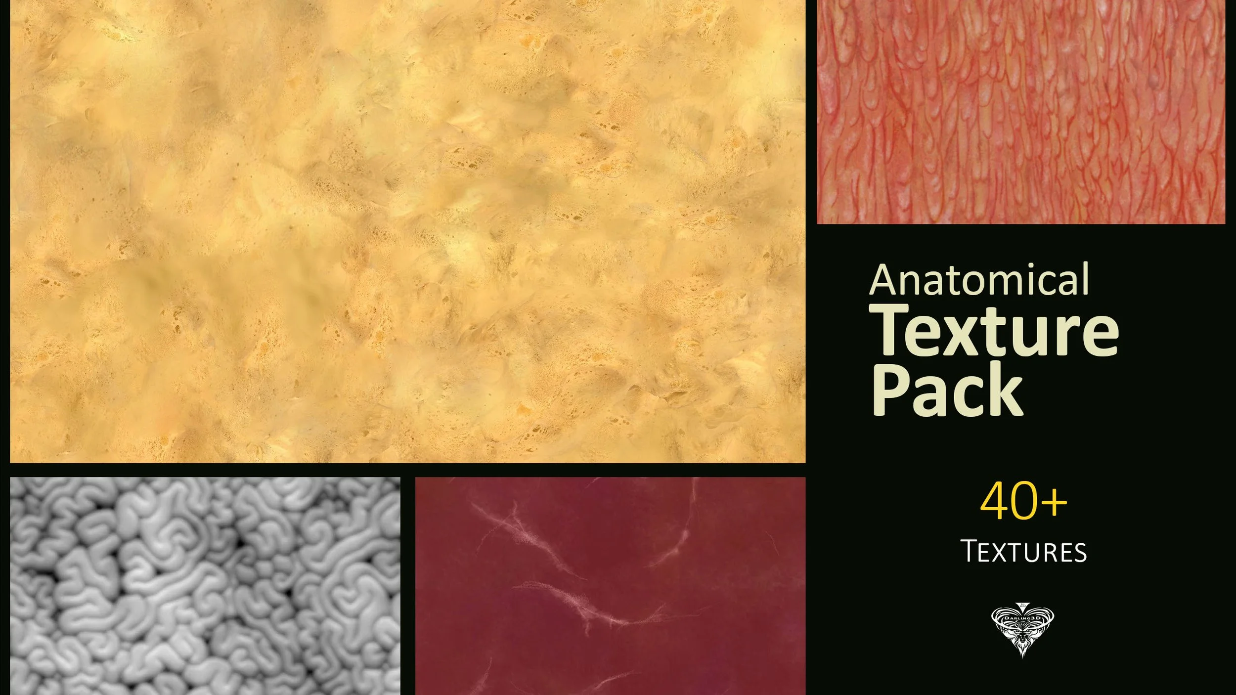 Anatomical Textures_VizPack.jpg