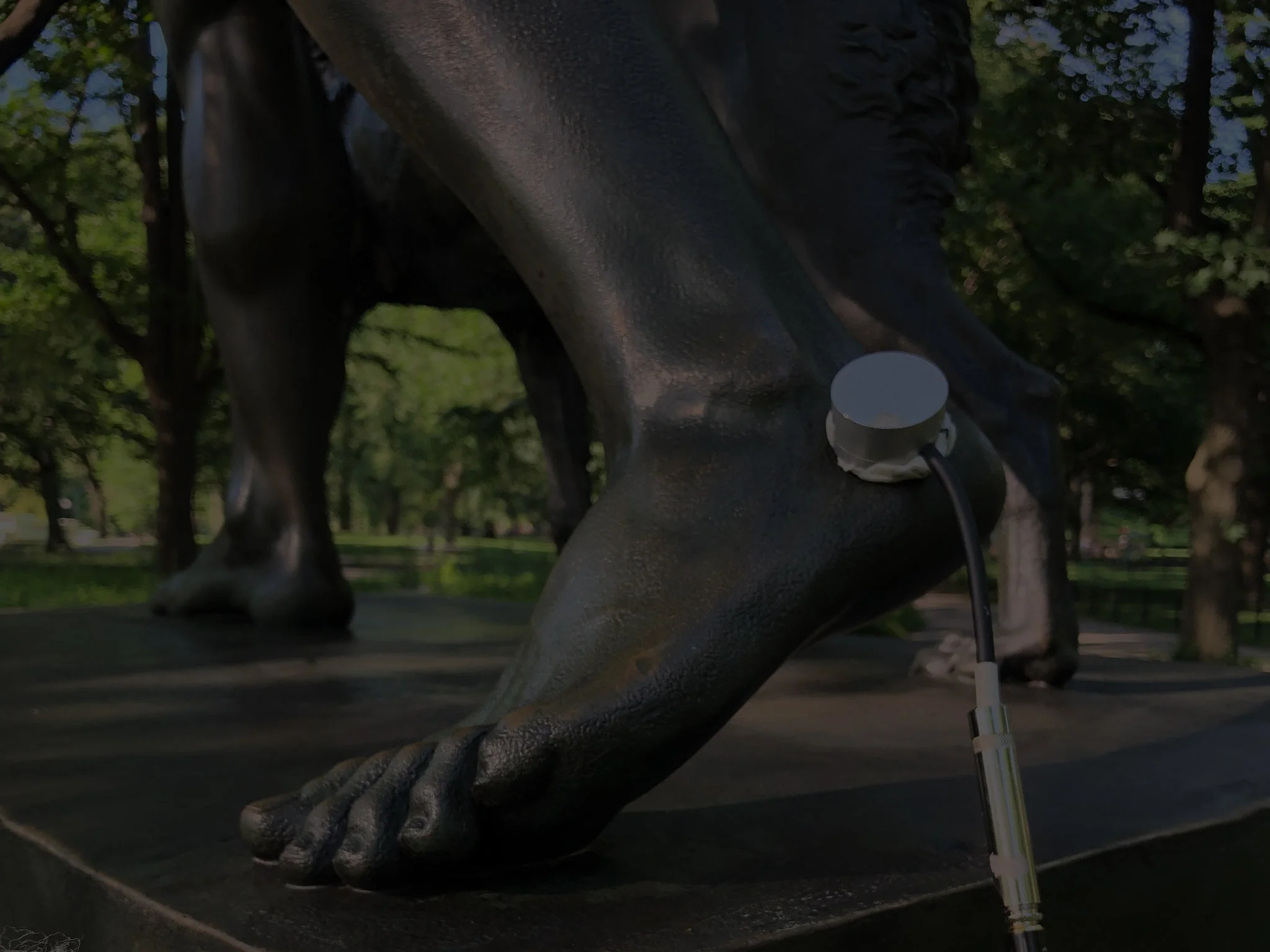 image4.jpg