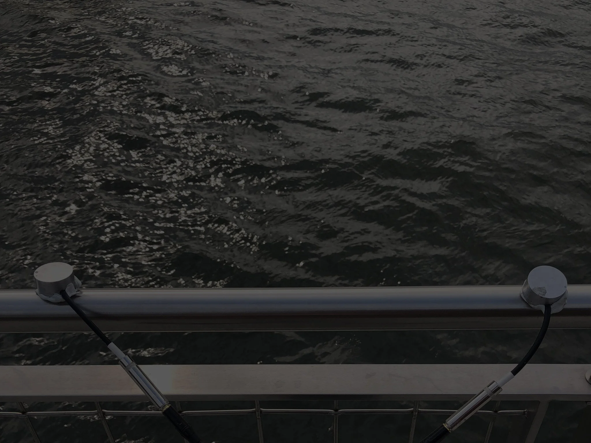 image12.jpg