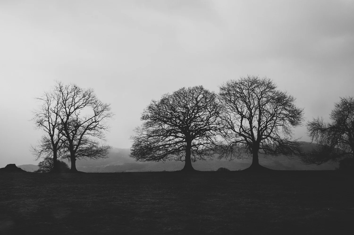 14032911.jpg