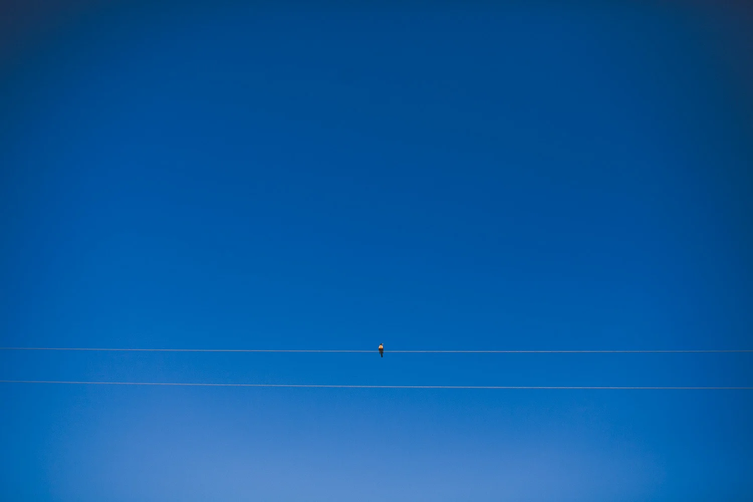 14041604.jpg