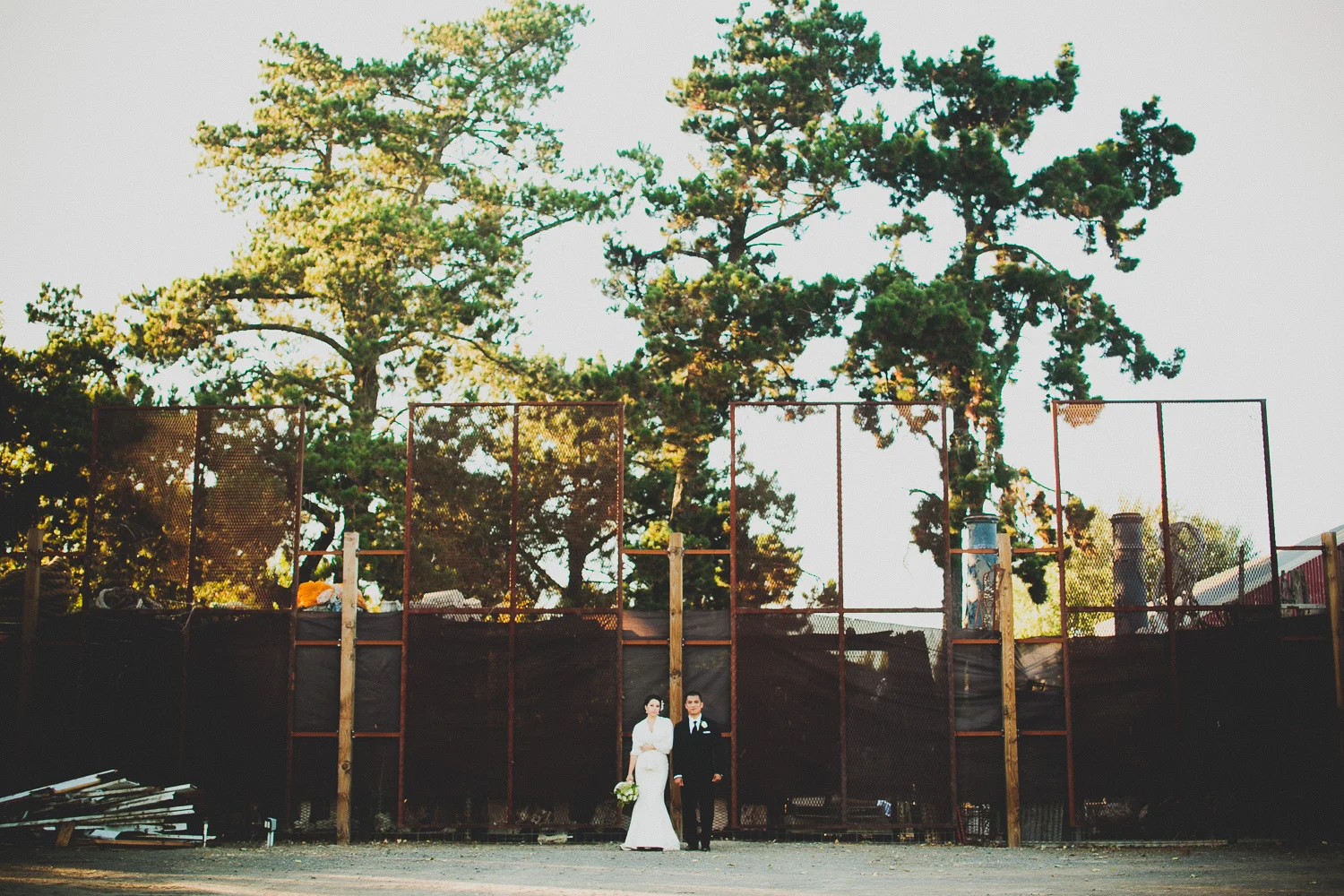 14041629.jpg