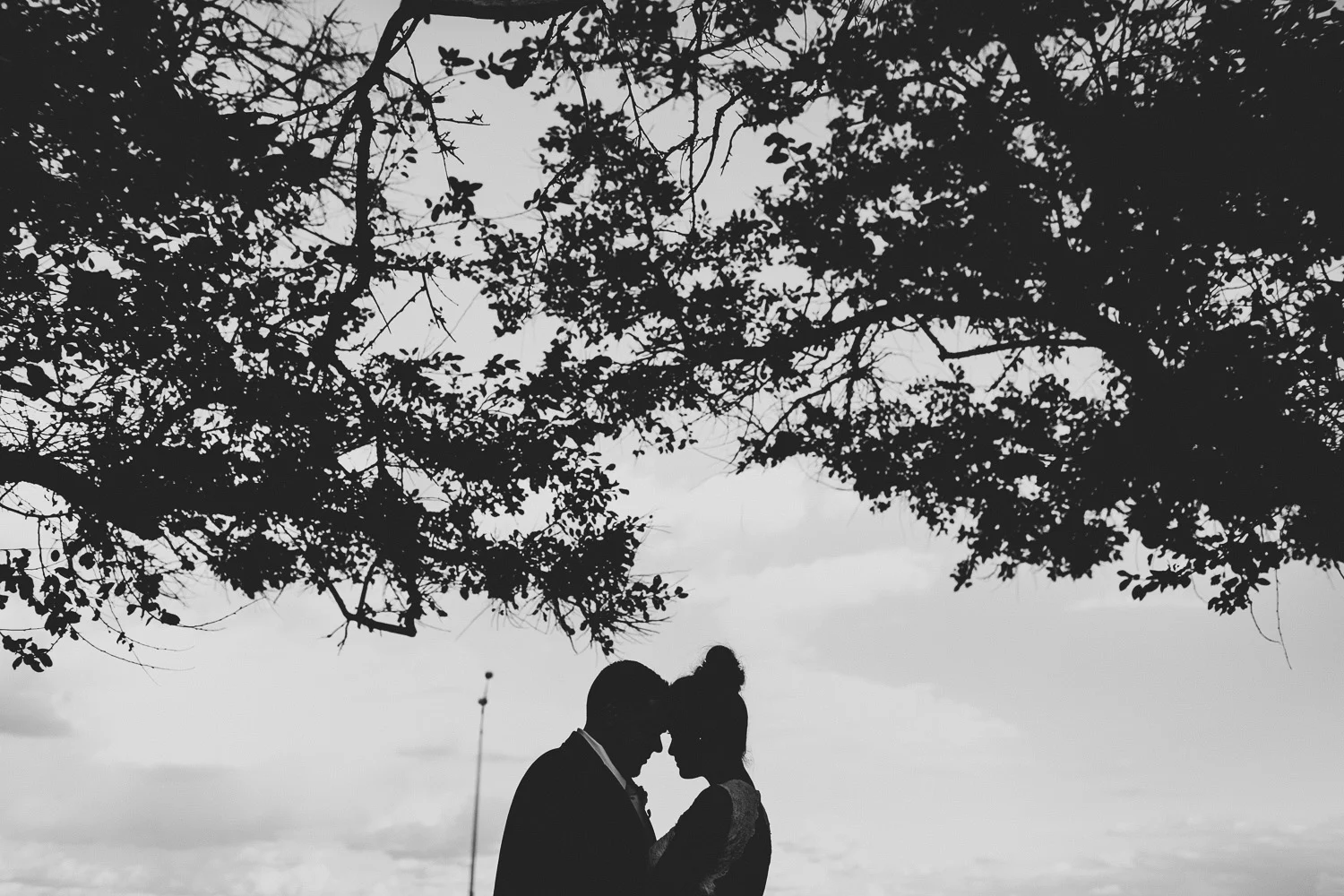 14052920.jpg