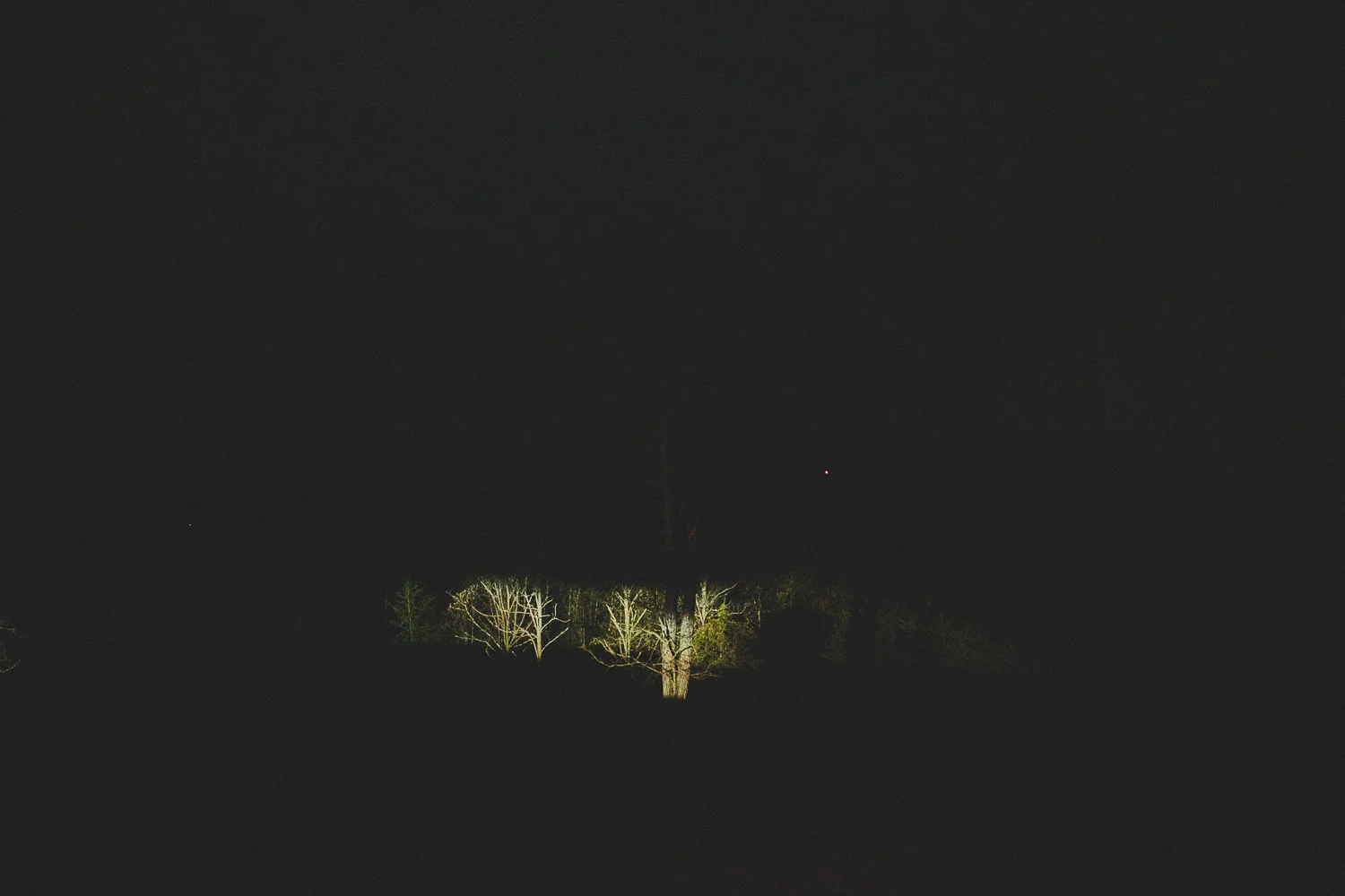 15090545.jpg