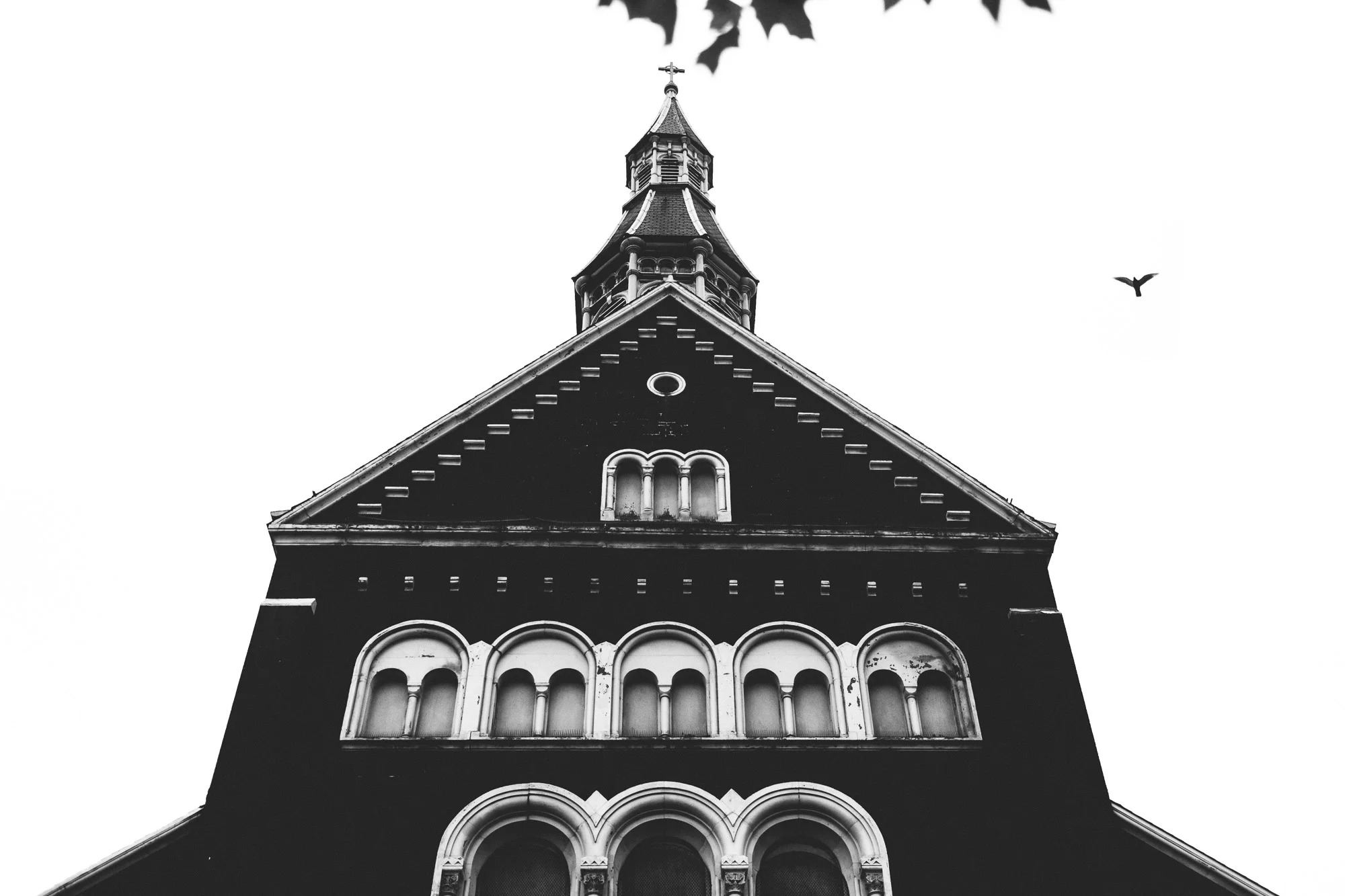 160507_Wnek_140.jpg