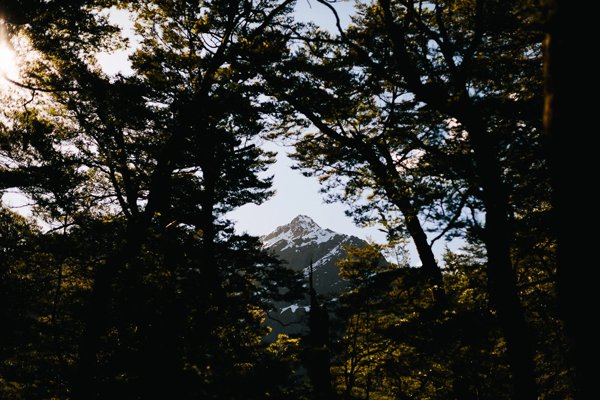 16083154.jpg