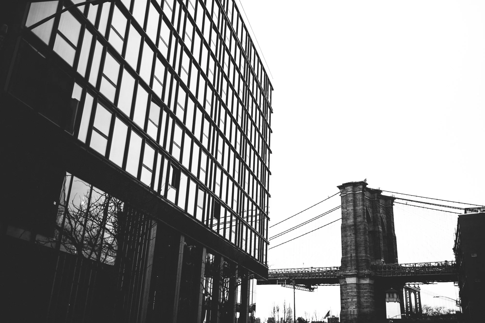170415_Cho_0001.jpg