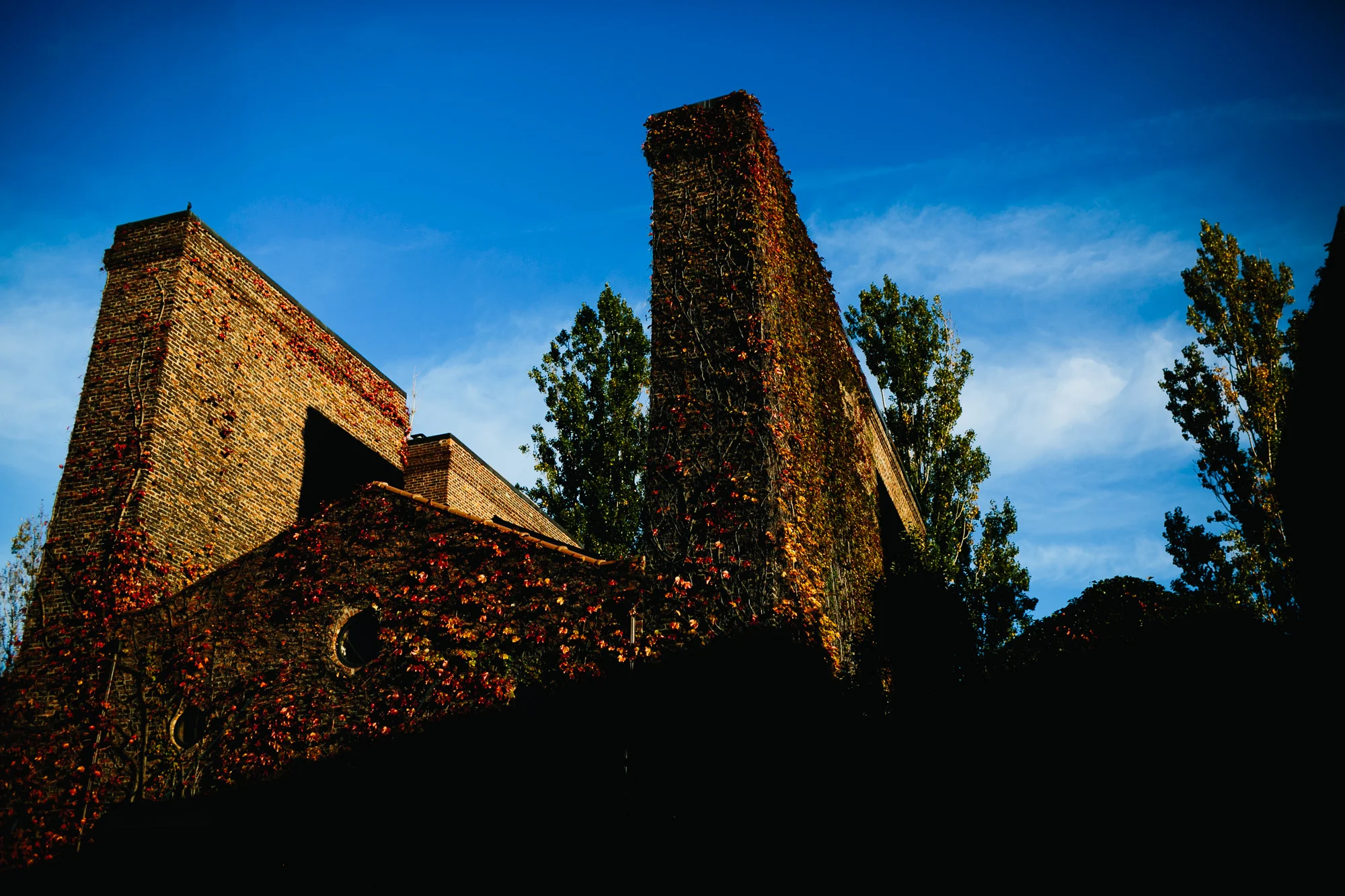 171102_Martinez_007.jpg