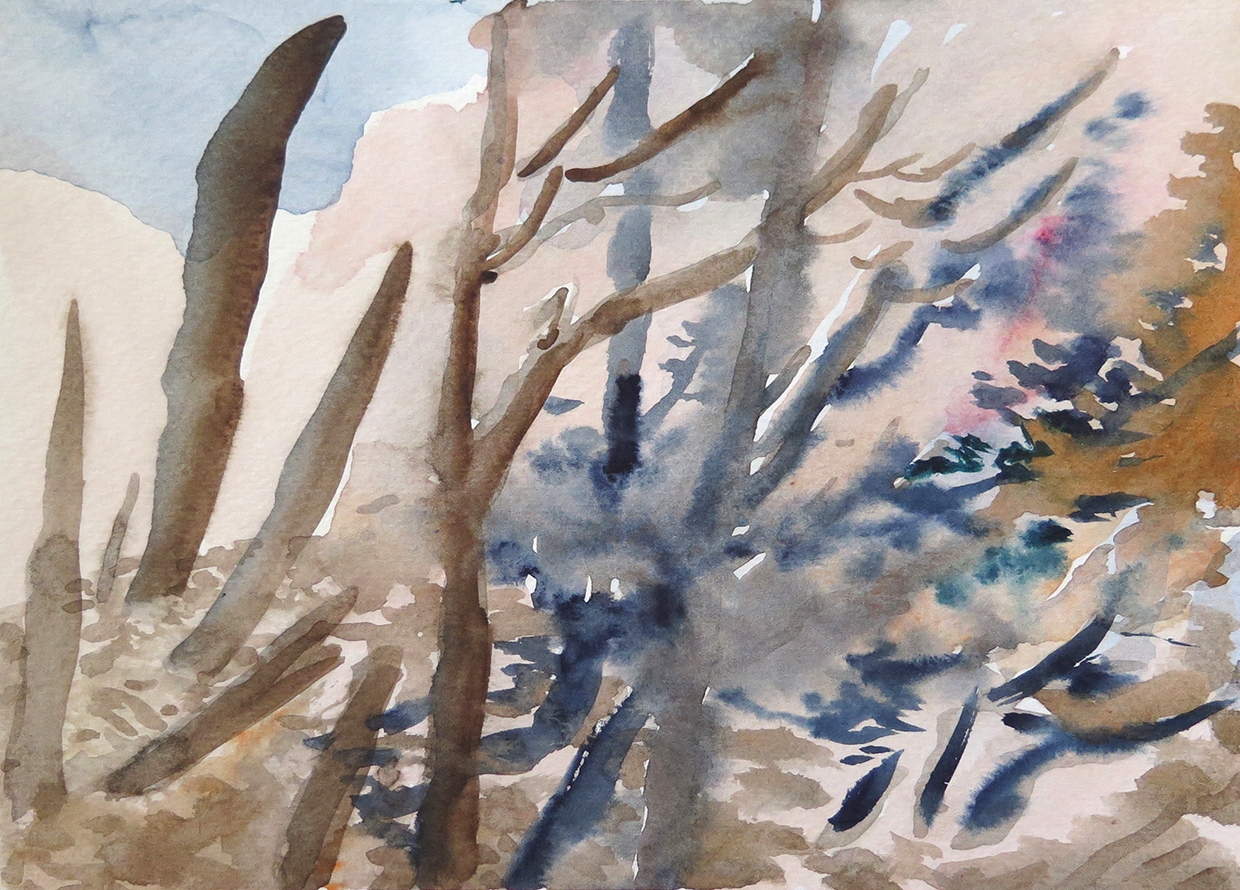 "Forest Outside Graz 03"Watercolour on paper, 6.75” x 9.25”, 2014.