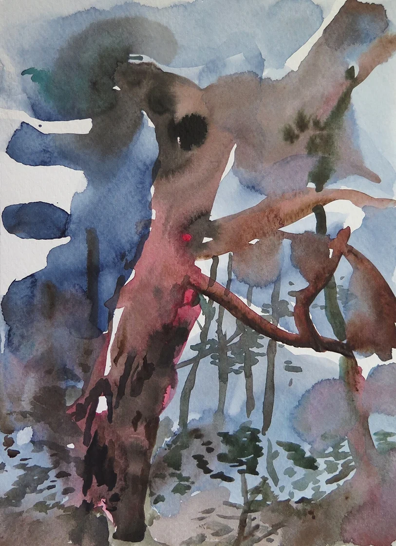 "Forest Outside Graz 05" Watercolour on paper, 6.75” x 9.25”, 2014.