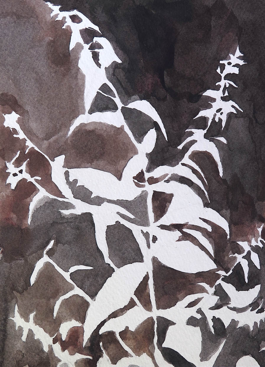"Forest Outside Graz 08" Watercolour on paper, 6.75” x 9.25”, 2014.