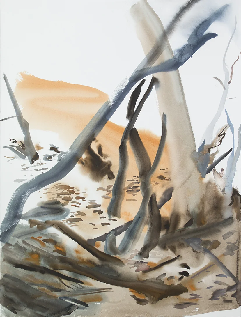 "Wienerwald 02" Watercolour on Arches paper. 30" X 22.5", 2015