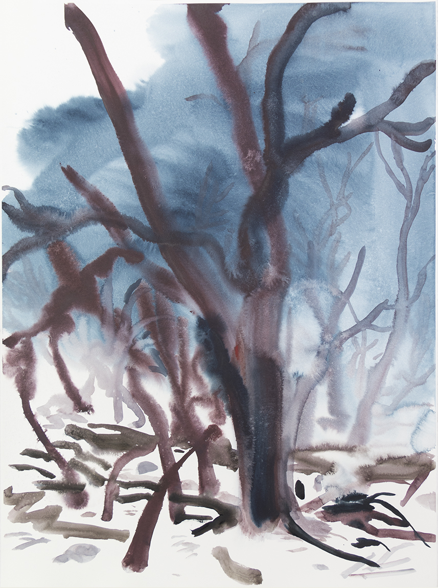"Wienerwald 03" Watercolour on Arches paper. 30" X 22.5", 2015