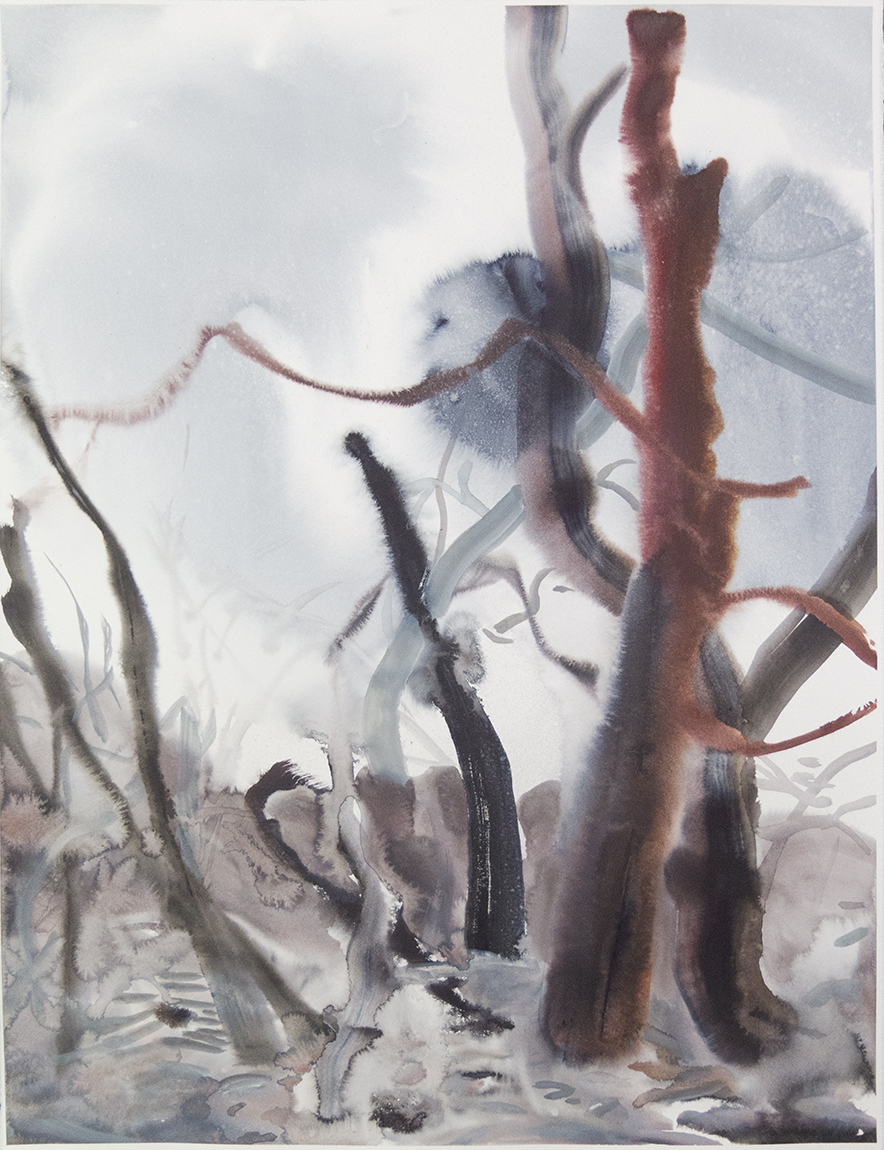 "Wienerwald 04" Watercolour on Arches paper. 30" X 22.5", 2015