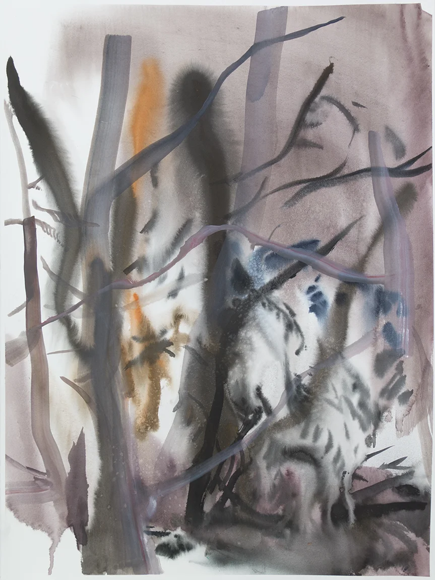"Wienerwald 08" Watercolour on Arches paper. 30" X 22.5", 2015