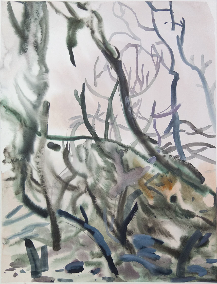 "Wienerwald 07" Watercolour on Arches paper. 30" X 22.5", 2015