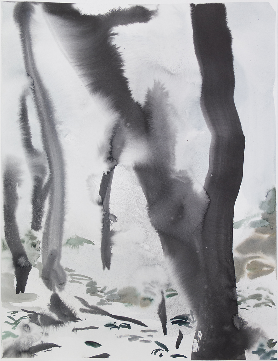 "Wienerwald 09" Watercolour on Arches paper. 30" X 22.5", 2015