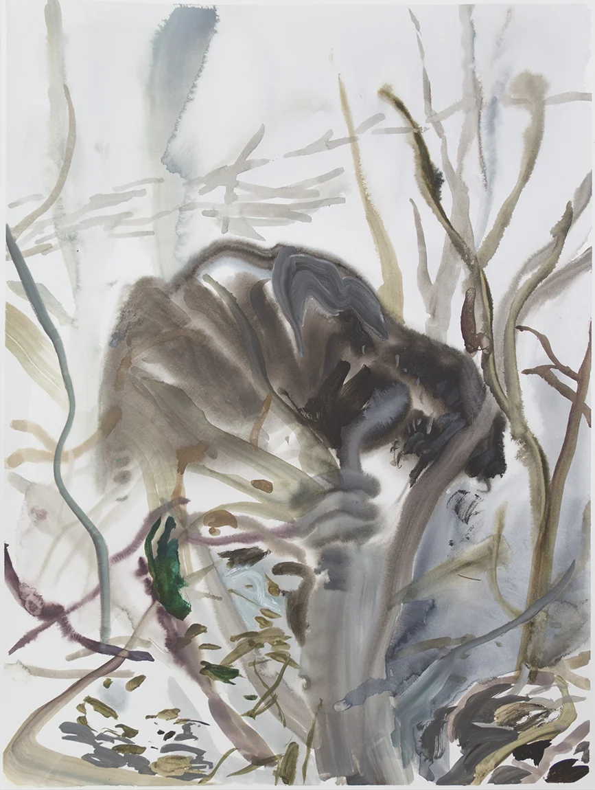 "Wienerwald 11" Watercolour on Arches paper. 30" X 22.5", 2015