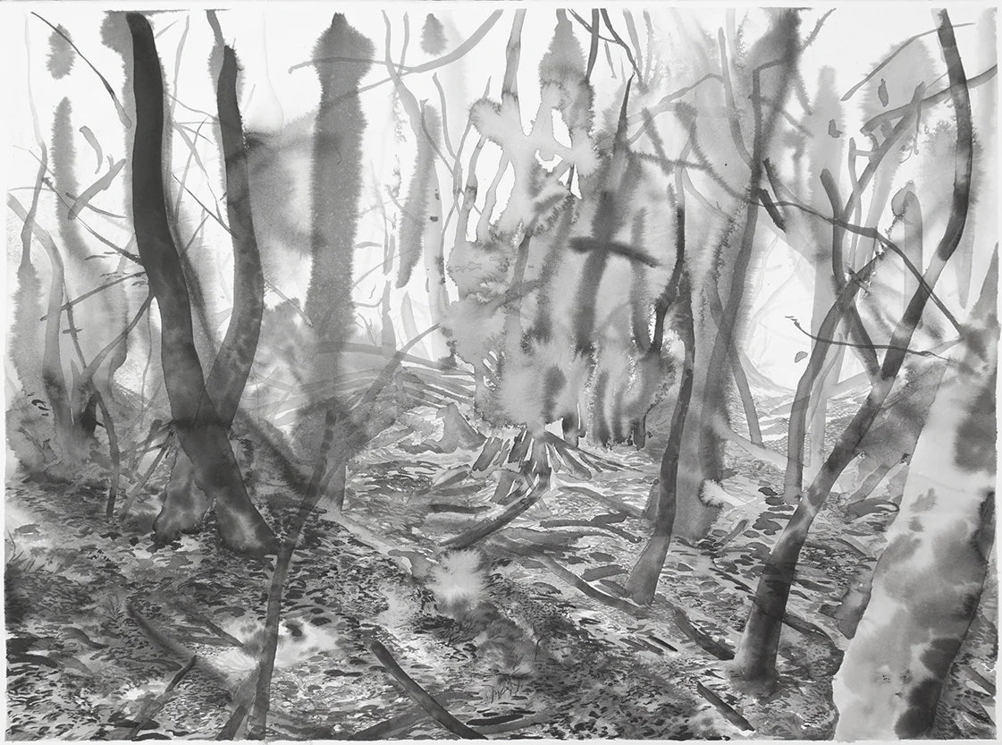 "Wienerwald 13" Watercolour on Arches paper. 30" X 22.5", 2015