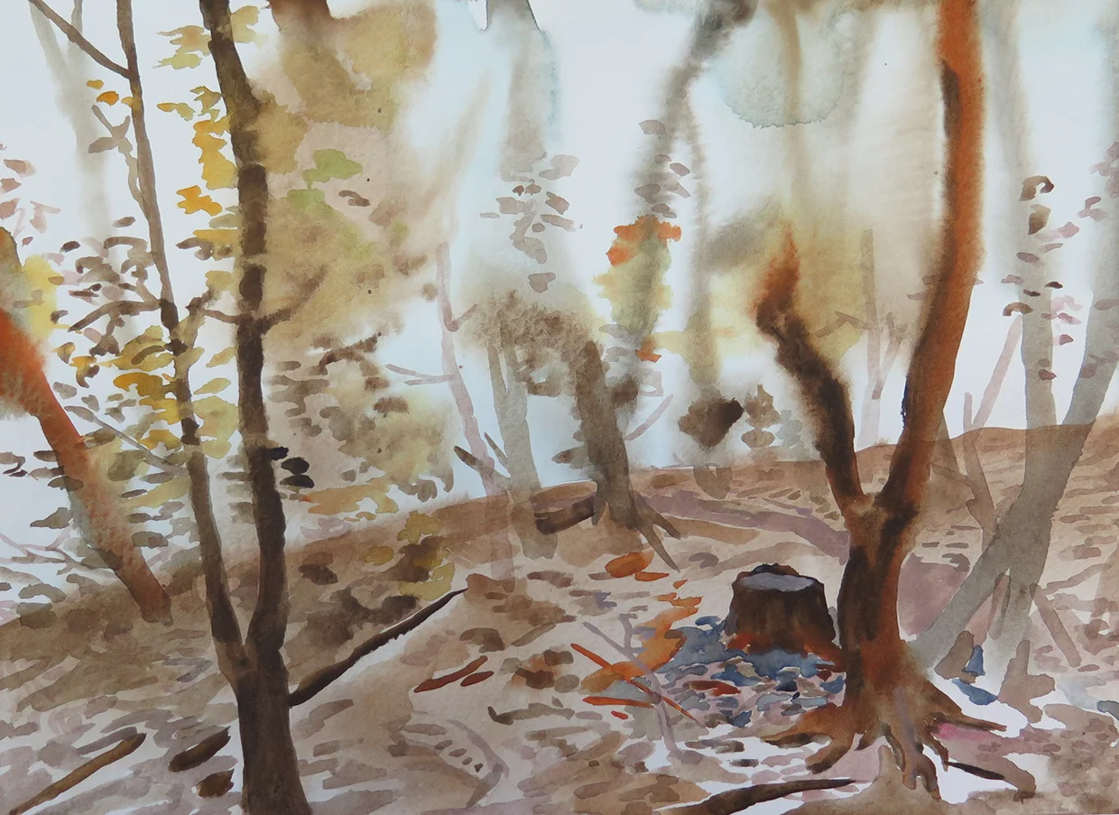 yellow forest small.jpg