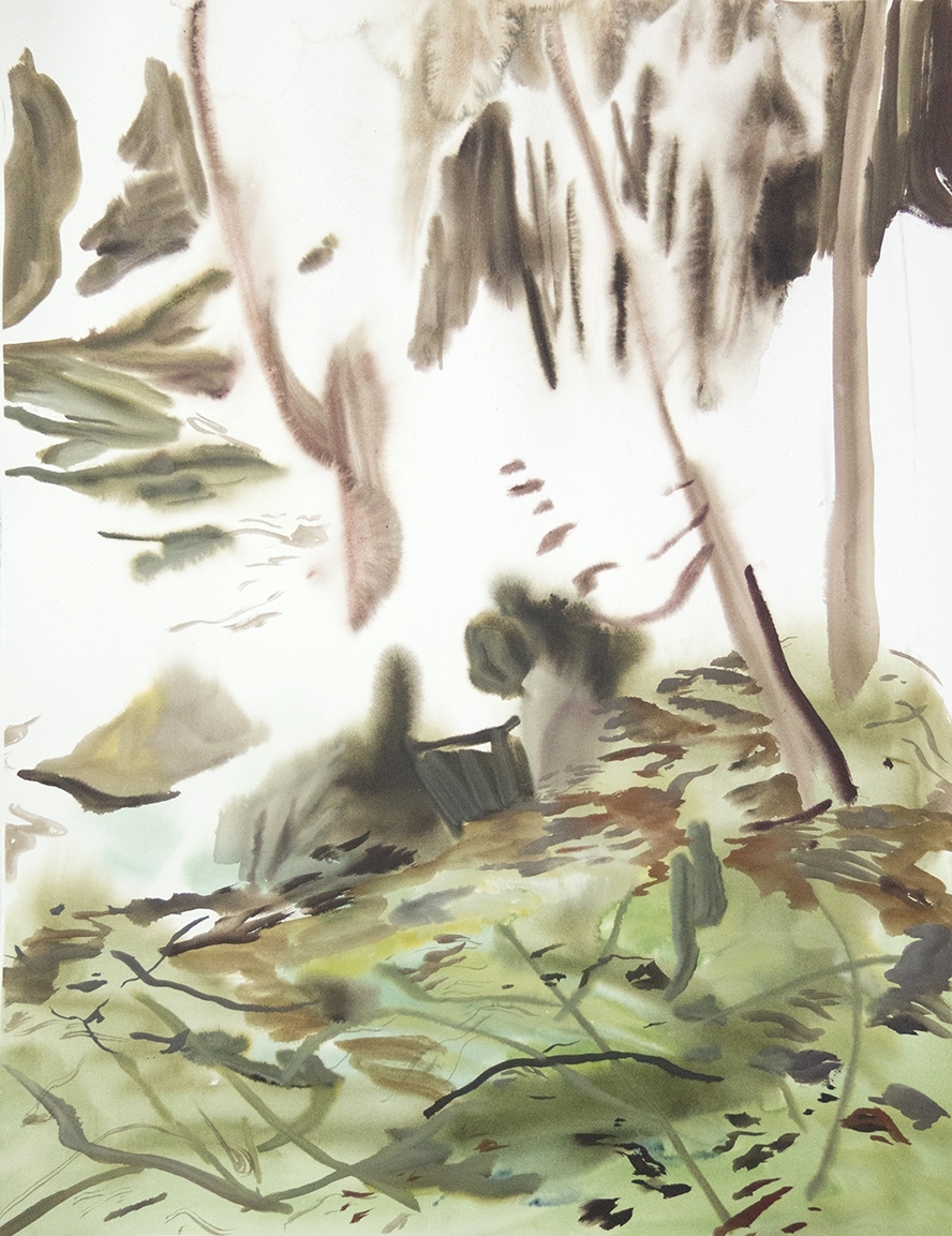 "SSI 01" Watercolour on Arches paper. 30" X 22.5"