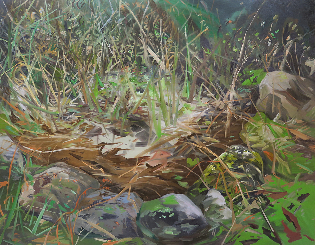 "Pond Out Front" Oil on canvas, 48" x 60"