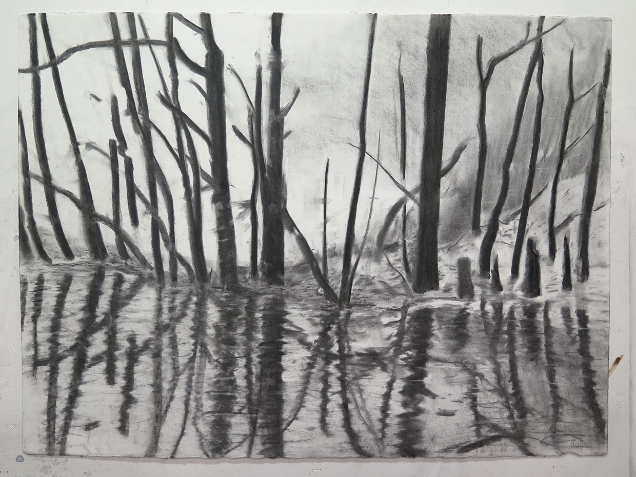 Untitled, charcoal on paper, 22" x 30"