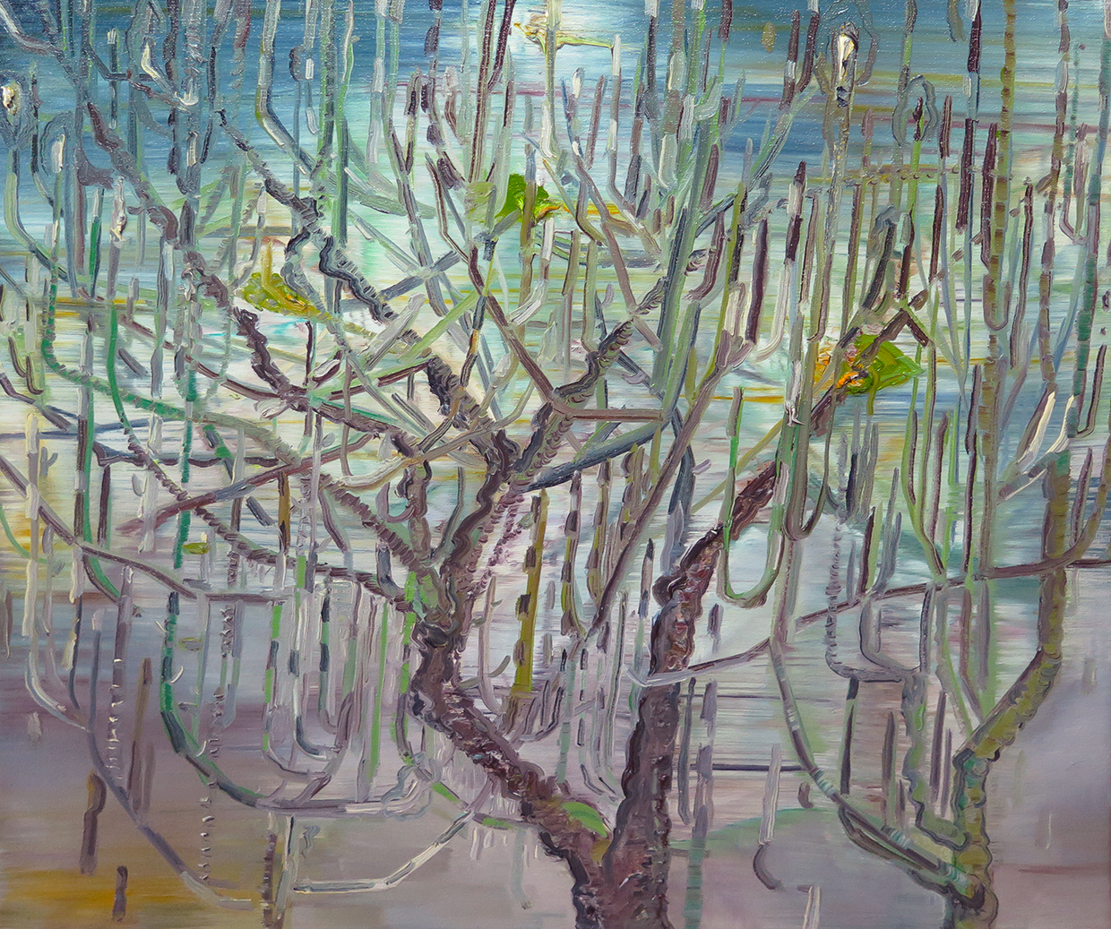"Scotch Broom" Oil on canvas 20" x 20"