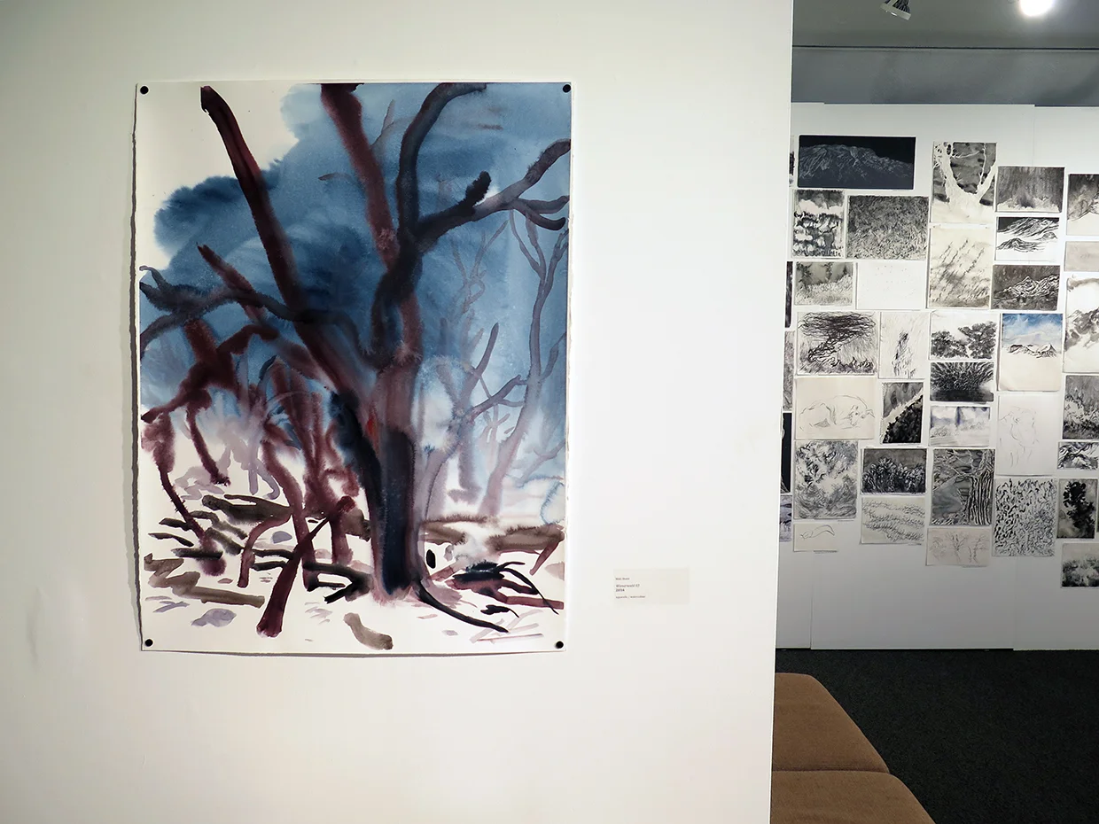 Install view