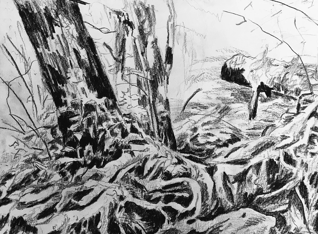 West Coast Trail field sketches Graphite on paper