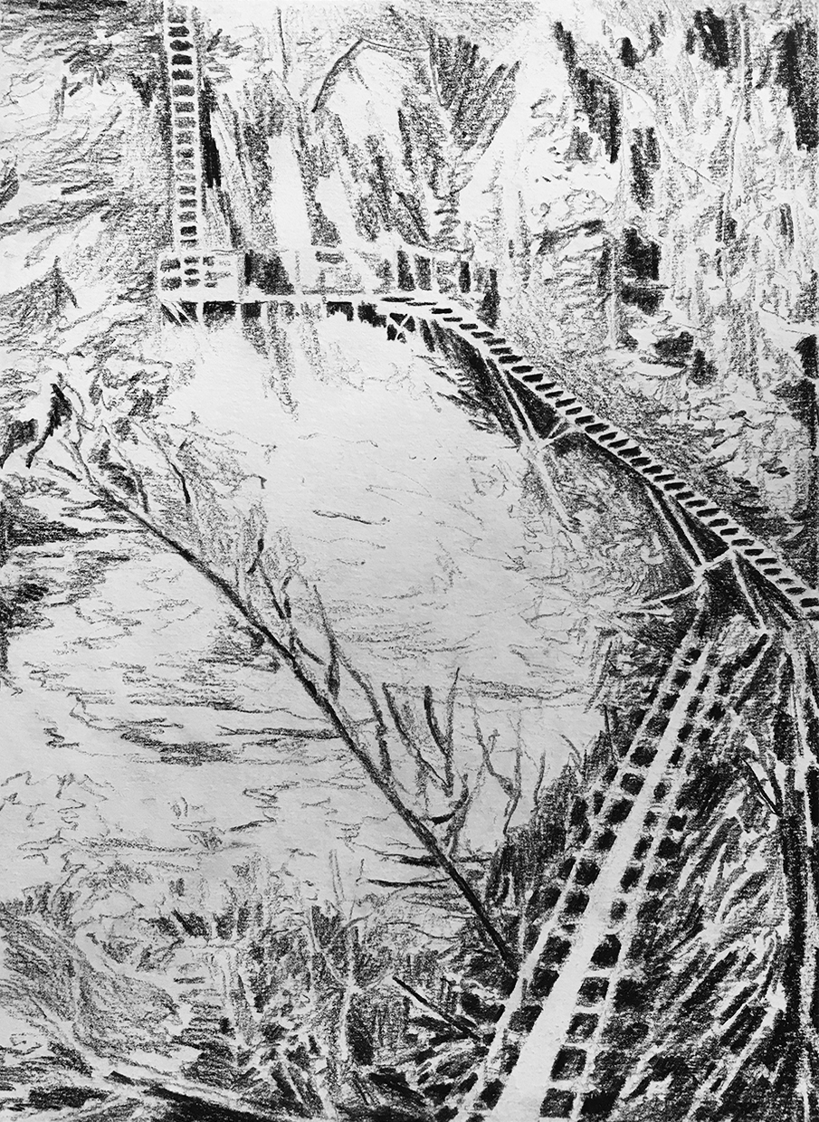 West Coast Trail field sketches Graphite on paper