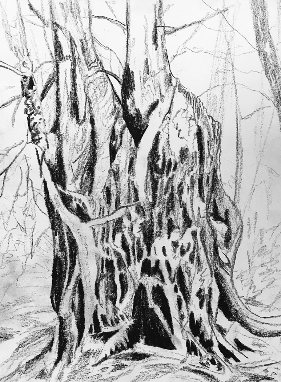 West Coast Trail field sketches Graphite on paper