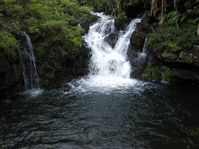 IMG_7808_2.JPG