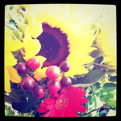 sunflowers2.JPG