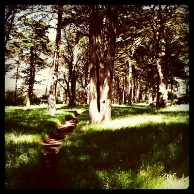 goldengatepark.jpg