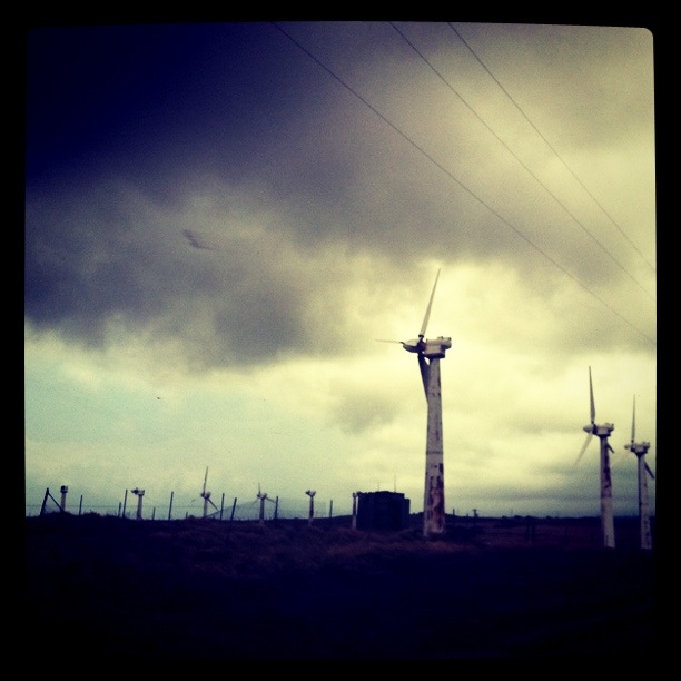 windfarm.JPG