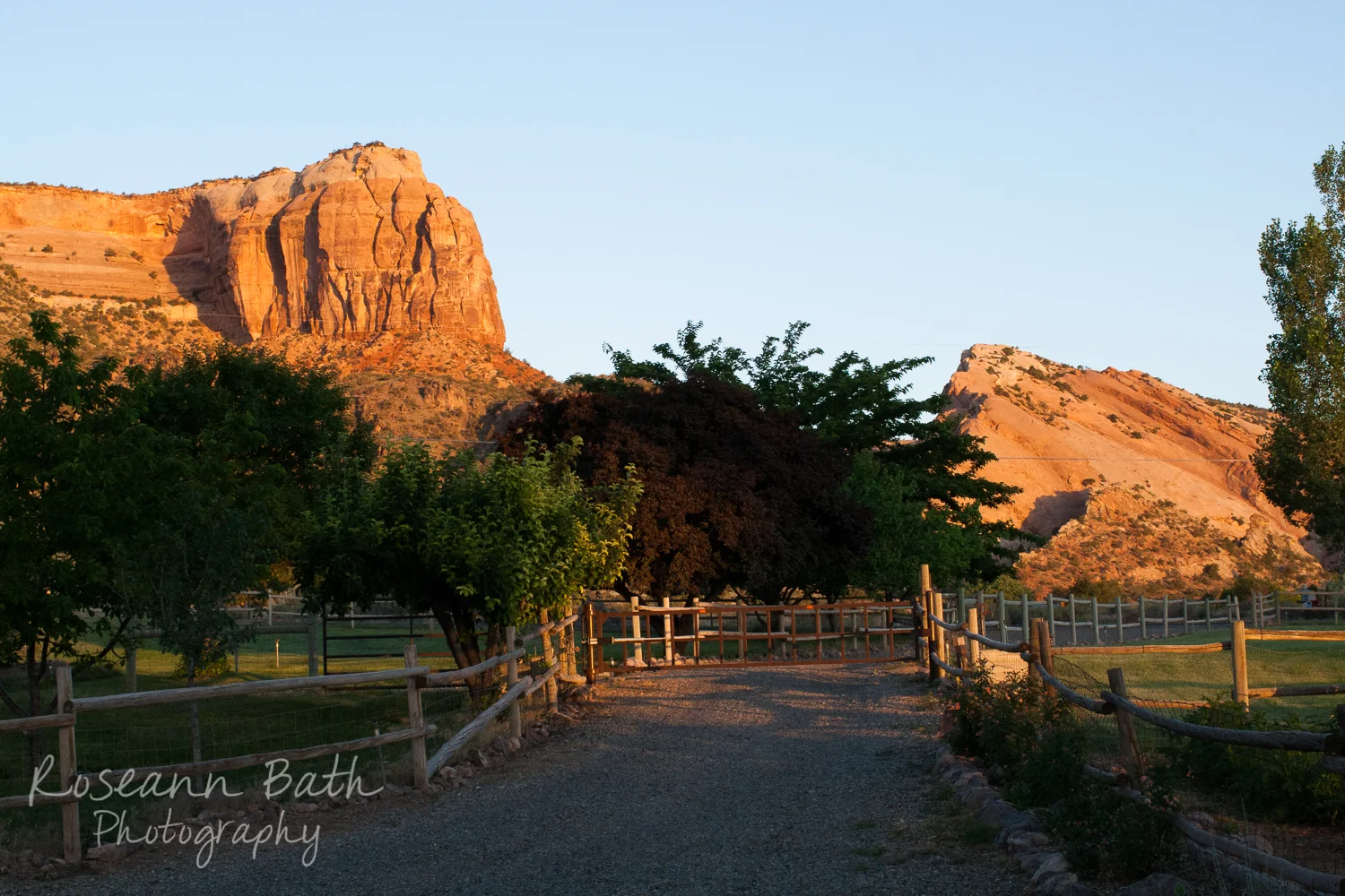 _MG_3769.jpg