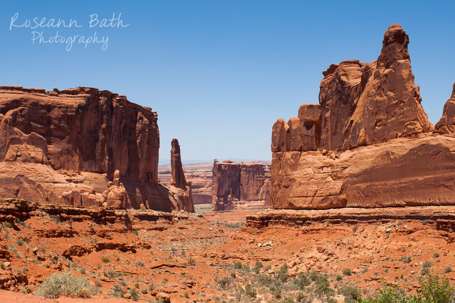 _MG_3247.jpg