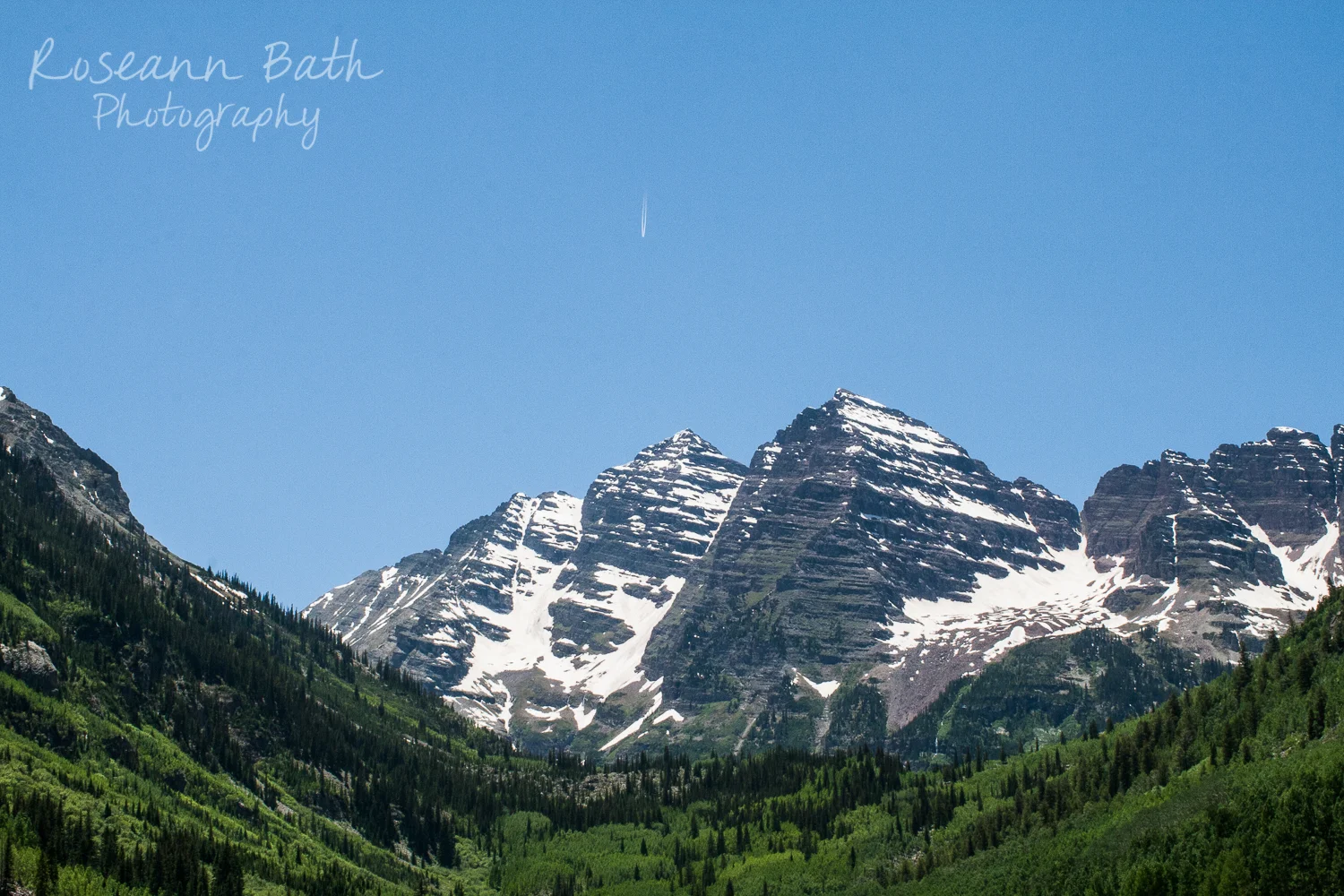 _MG_3481.jpg