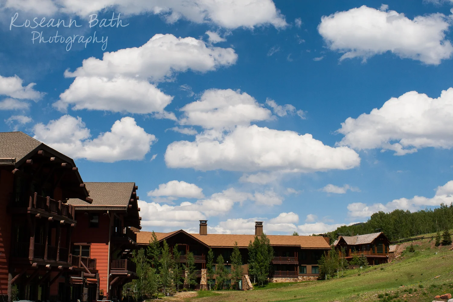 _MG_3566.jpg