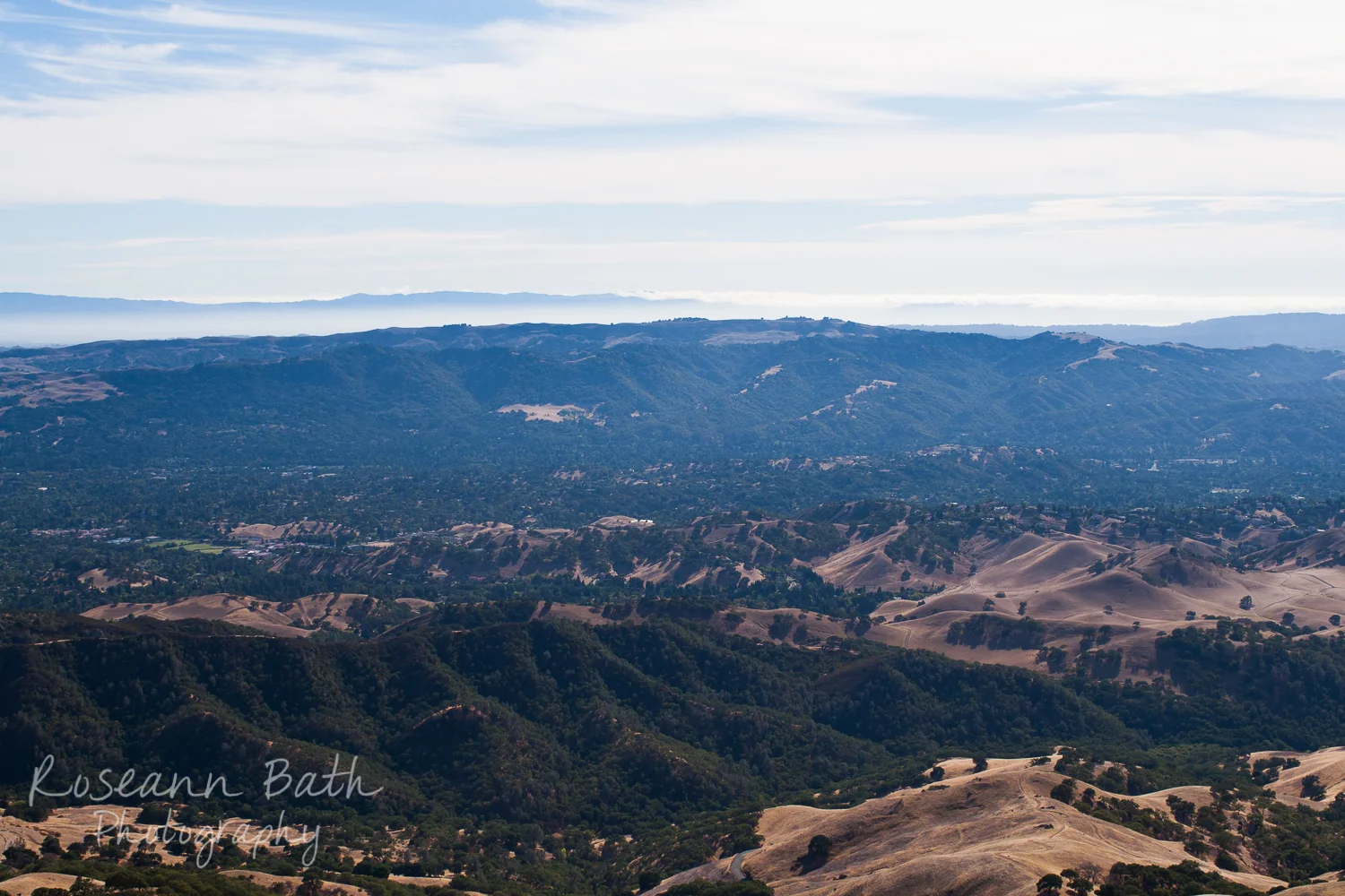 _MG_0036.jpg