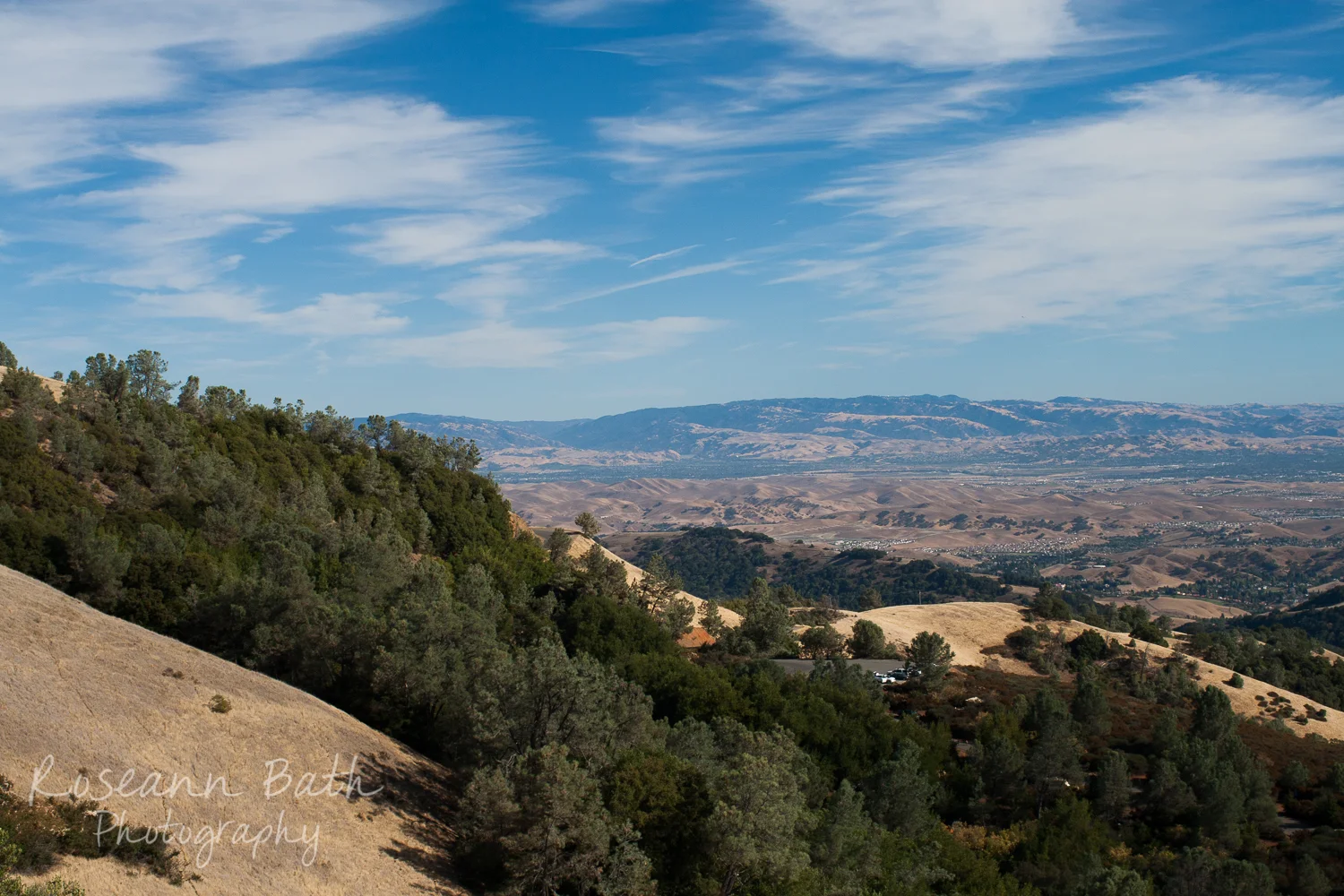_MG_0044.jpg