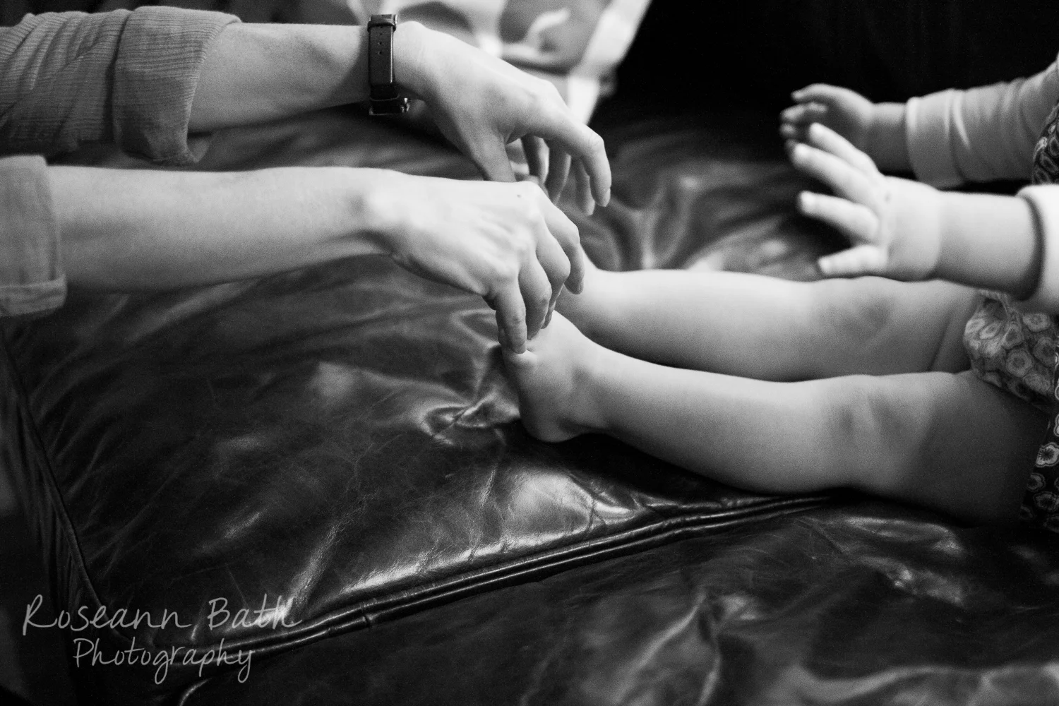 _MG_8735.jpg
