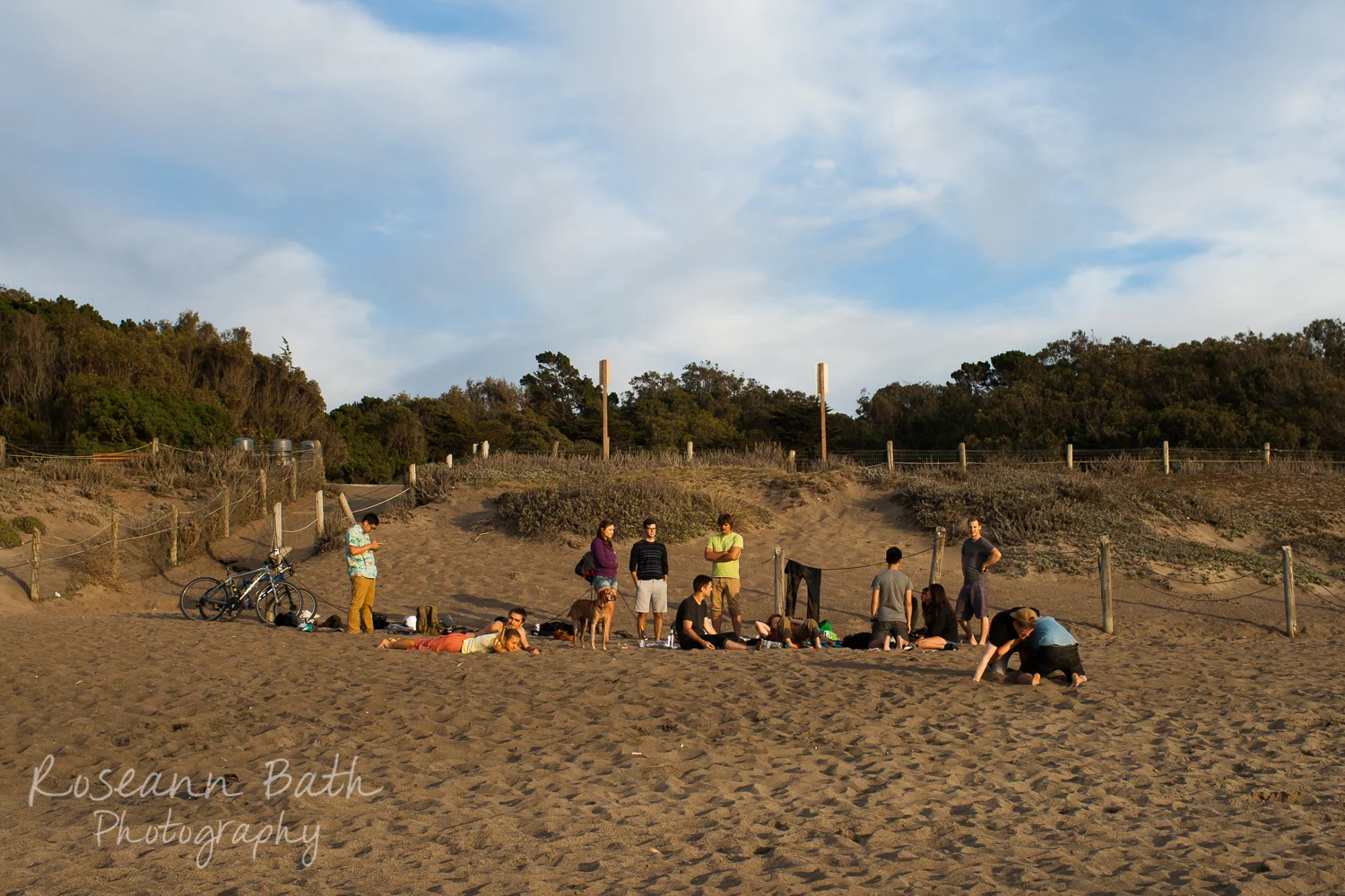 _MG_6559.jpg