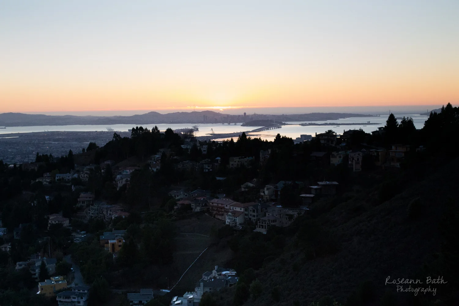 _MG_1610.jpg