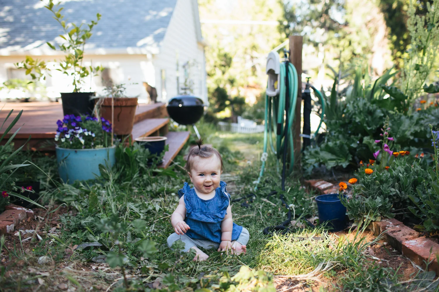 an evening in our garden