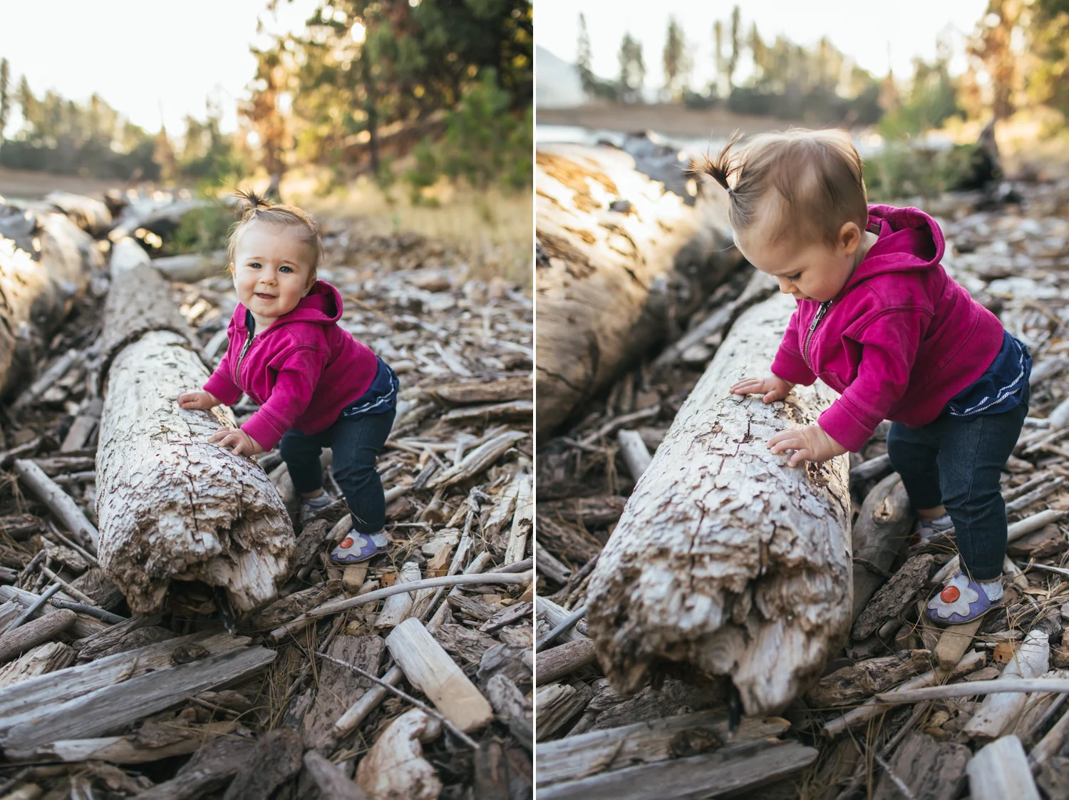 grass-valley-family-photographer.jpg